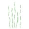 Seaweed Wall Stencil | 2365 by Designer Stencils | Outdoor Stencils | Reusable Art Craft Stencils for Painting on Walls, Canvas, Wood | Reusable Plastic Paint Stencil for Home Makeover | Easy to Use & Clean Art Stencil